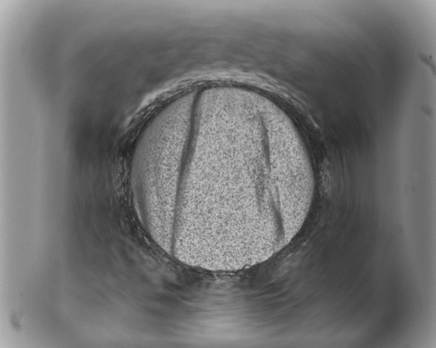 X0000099971494200806131520