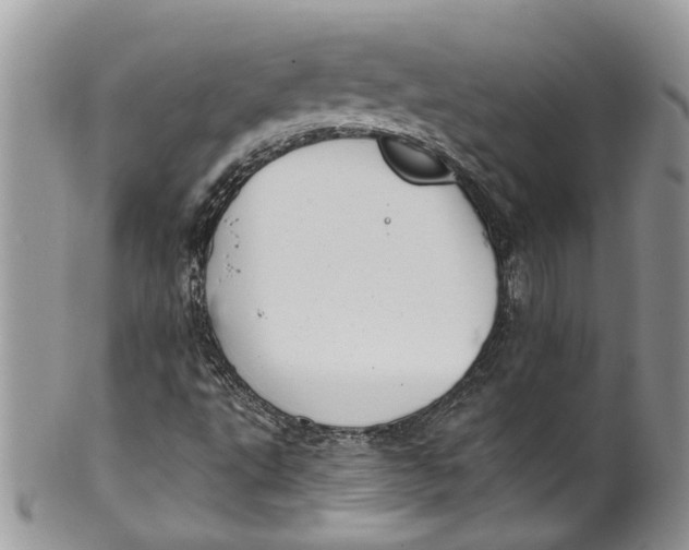 X0000099971495200806131520