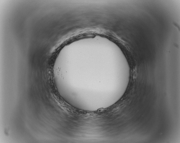 X0000099971496200806131520