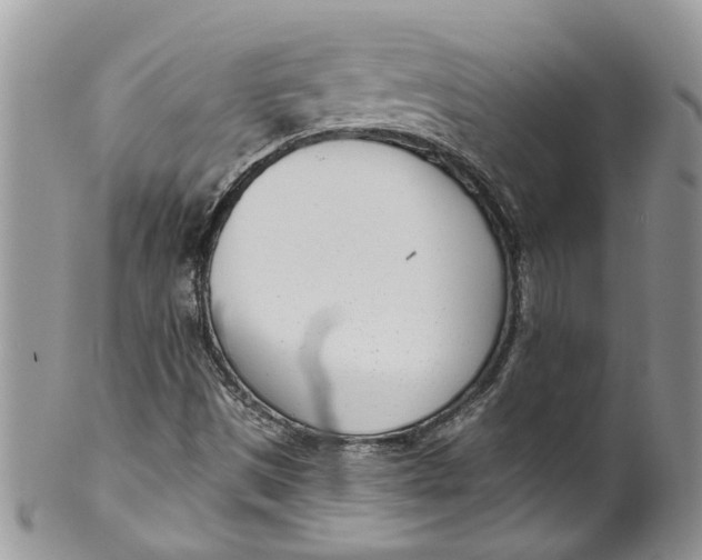 X0000099971497200806131520