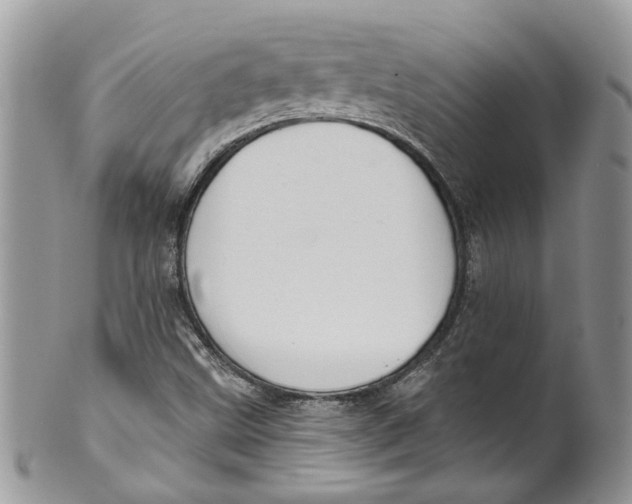 X0000099971499200806131520