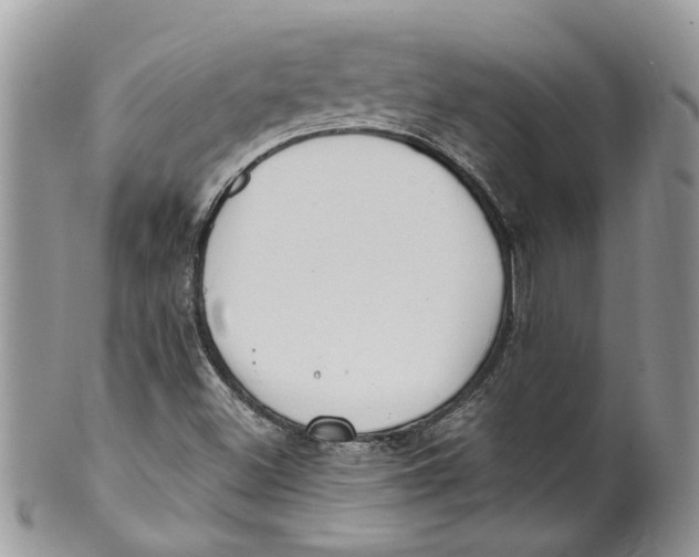 X0000099971500200806131520