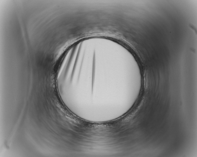 X0000099971501200806131520