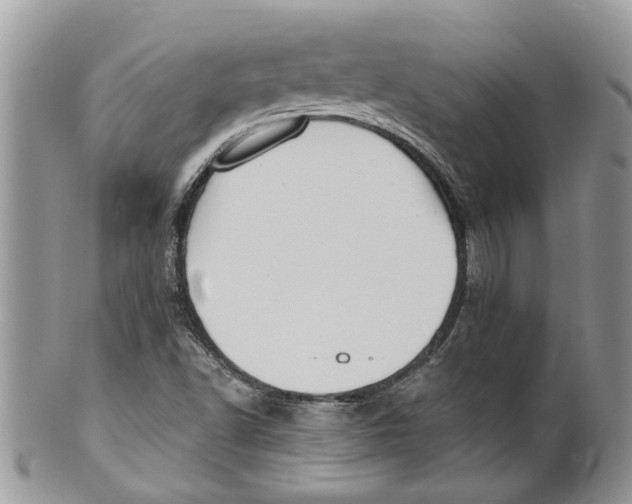 X0000099971502200806131520