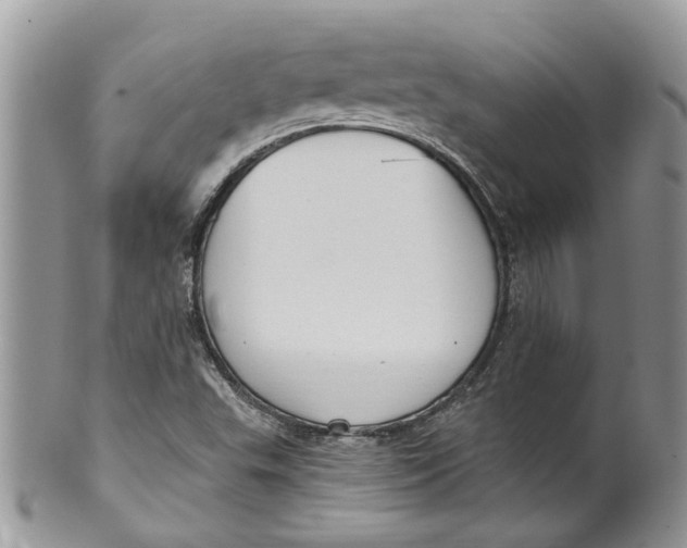 X0000099971503200806131521