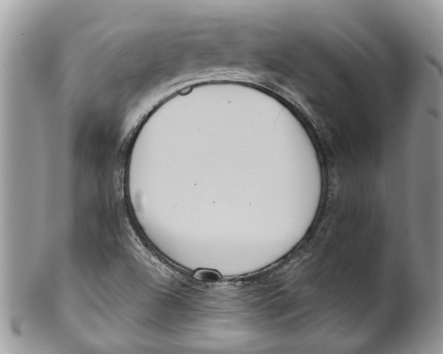 X0000099971504200806131521