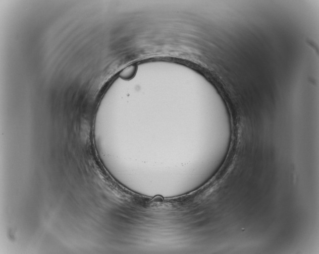 X0000099971505200806131521