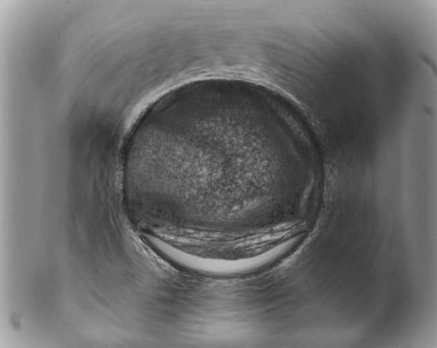 X0000099971506200806131521