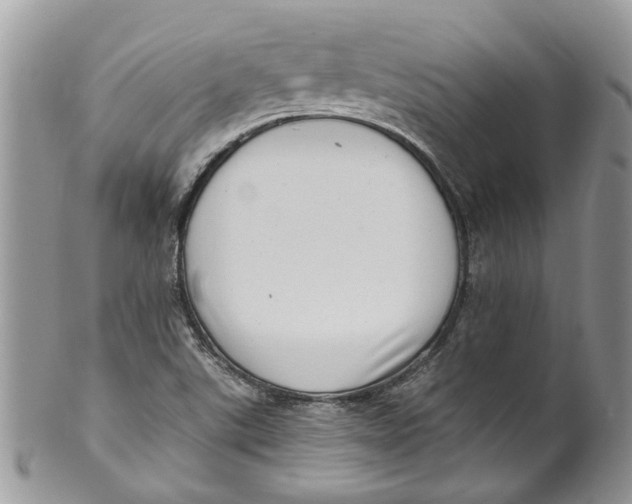 X0000099971507200806131521