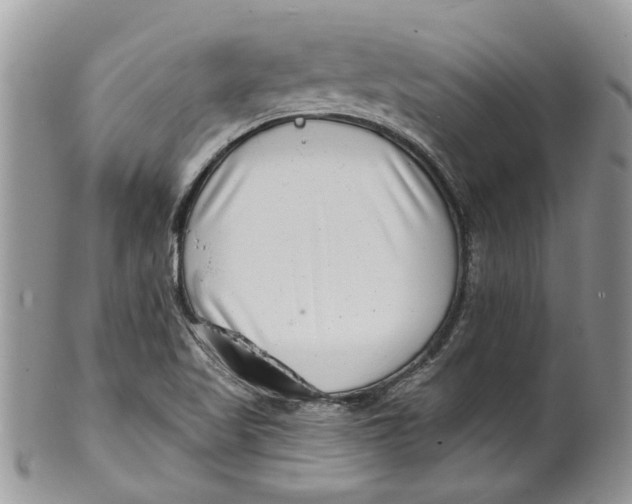 X0000099971509200806131521