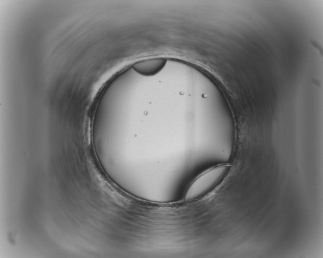 X0000099971510200806131521