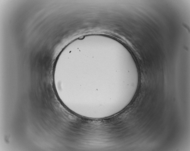 X0000099971512200806131521