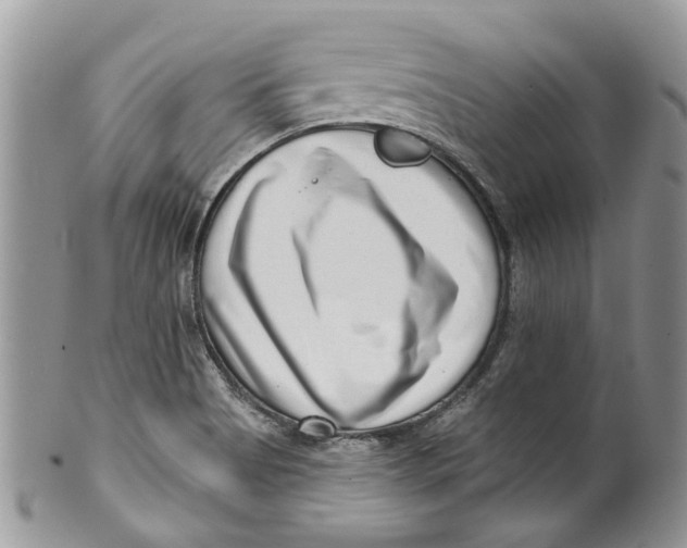 X0000099971513200806131521