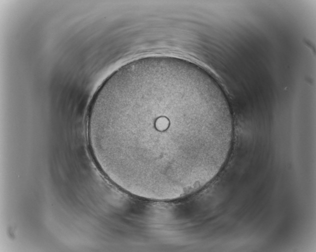 X0000099971514200806131521