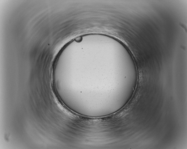 X0000099971515200806131521