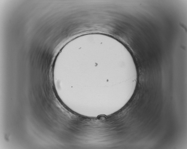 X0000099971516200806131521