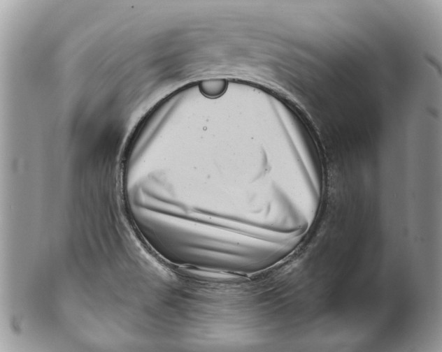 X0000099971517200806131521