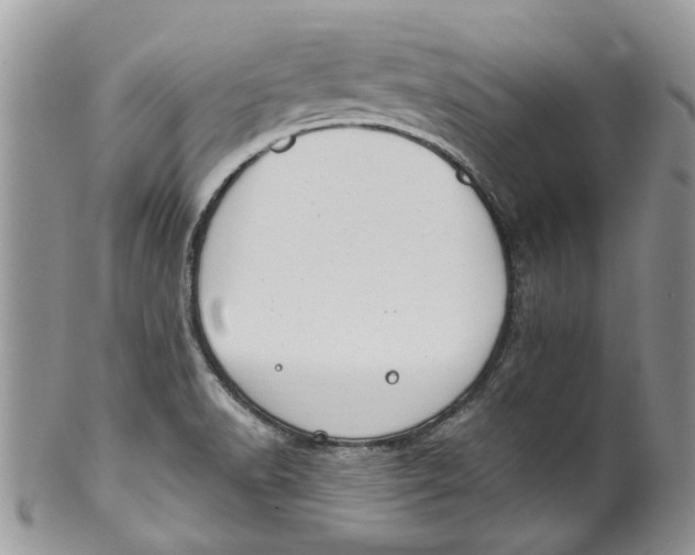 X0000099971518200806131521