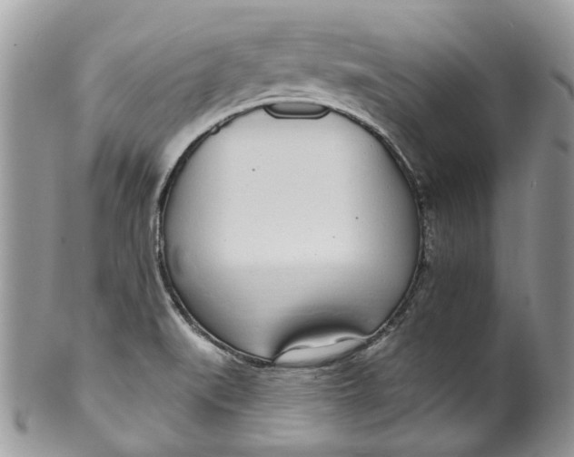 X0000099971519200806131521