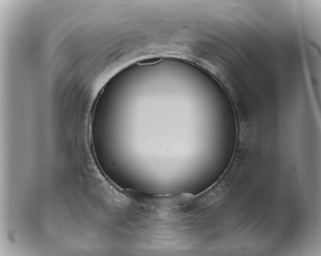 X0000099971520200806131521