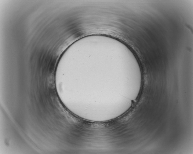 X0000099971521200806131521