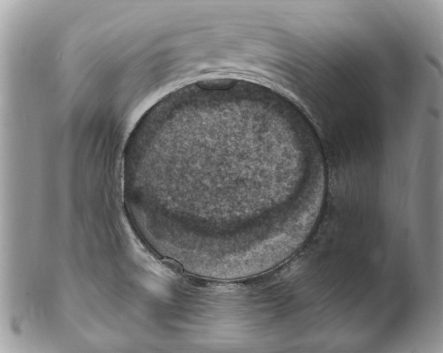 X0000099971522200806131521