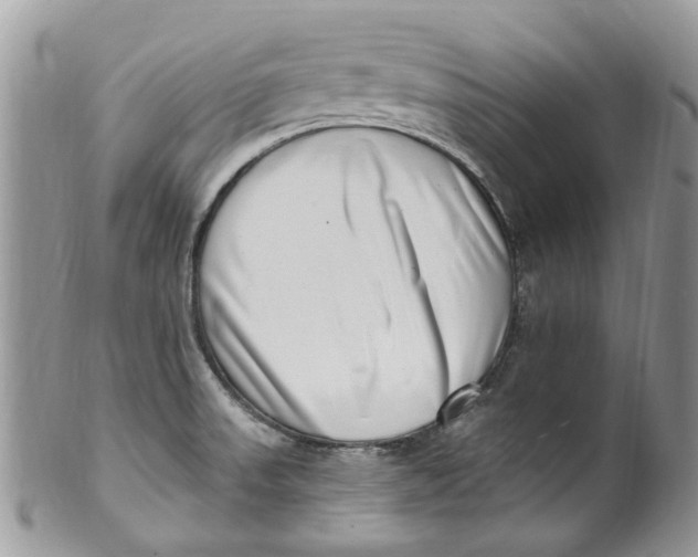 X0000099971523200806131521