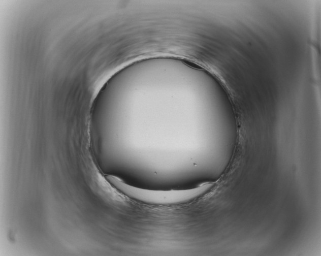 X0000099971524200806131521