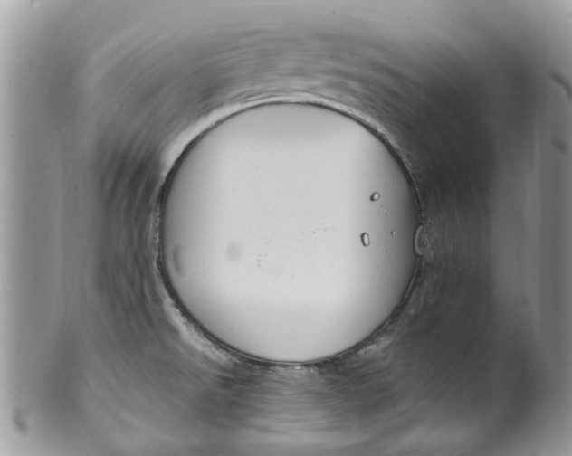 X0000099971526200806131521