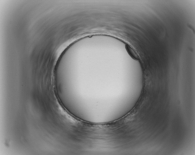 X0000099971527200806131521