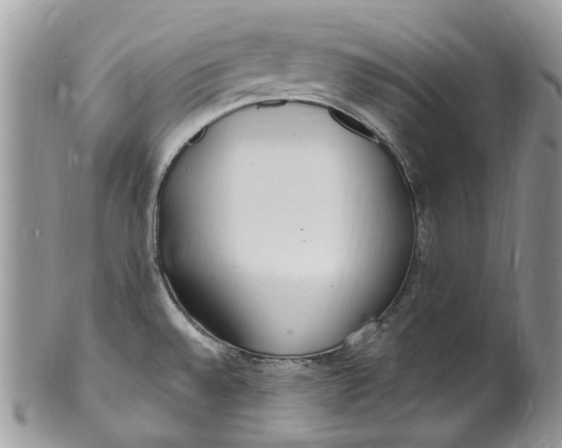 X0000099971528200806131521