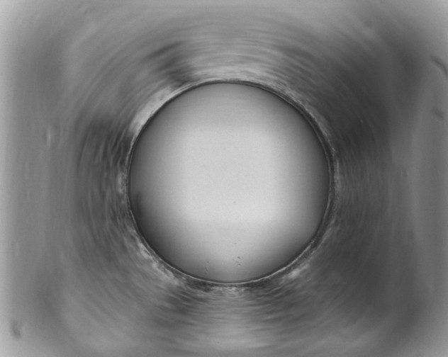 X0000099971529200806131521