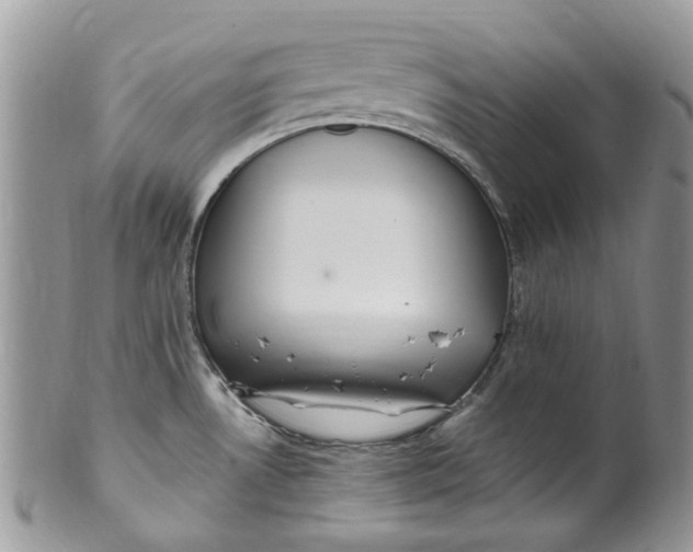 X0000099971530200806131521