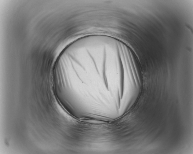 X0000099971531200806131521