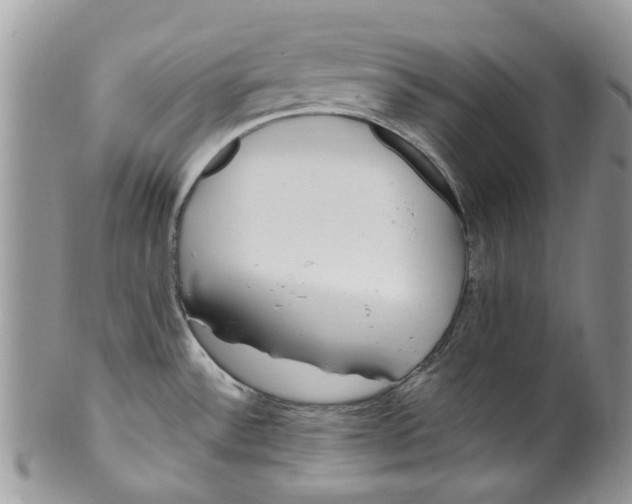 X0000099971532200806131521