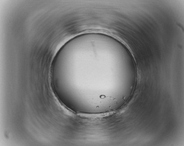 X0000099971533200806131521