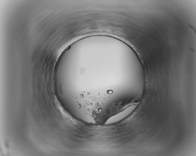 X0000099971534200806131521