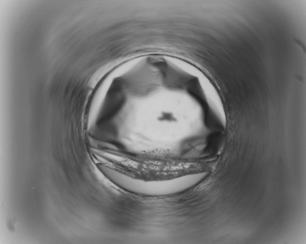 X0000099971535200806131521