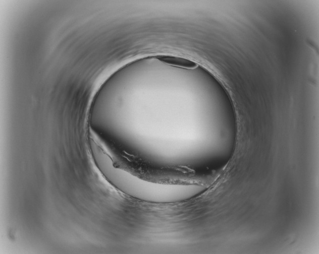 X0000099971536200806131521