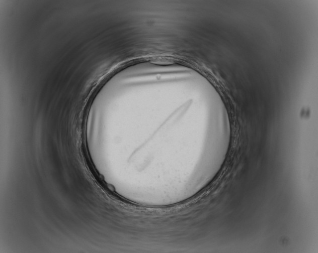 X0000099970002200806201413