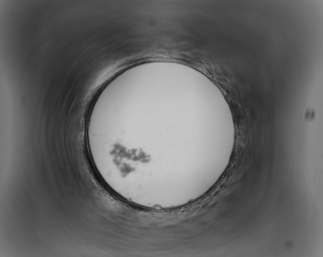 X0000099970005200806201413