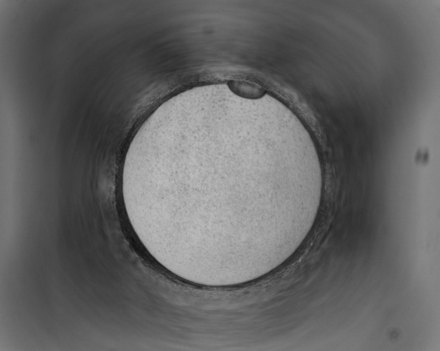 X0000099970010200806201413