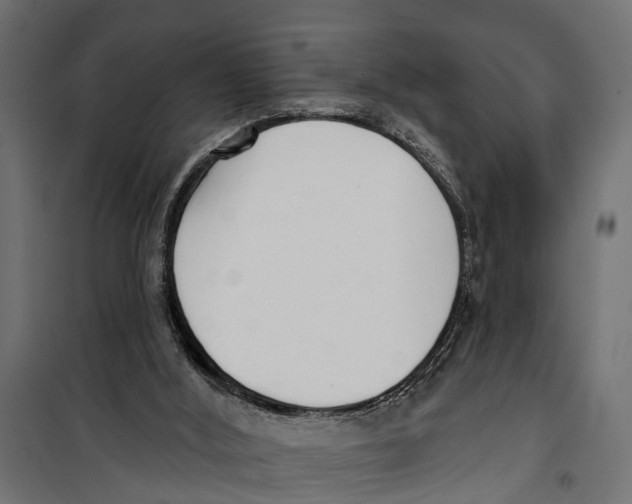 X0000099970012200806201413