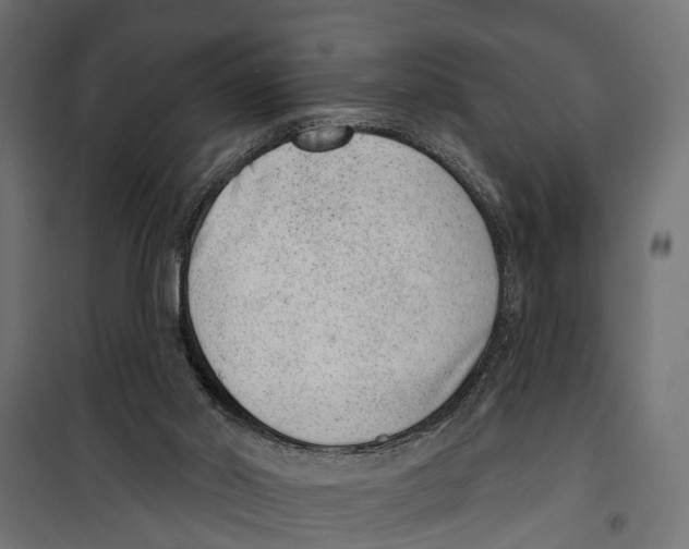 X0000099970014200806201413