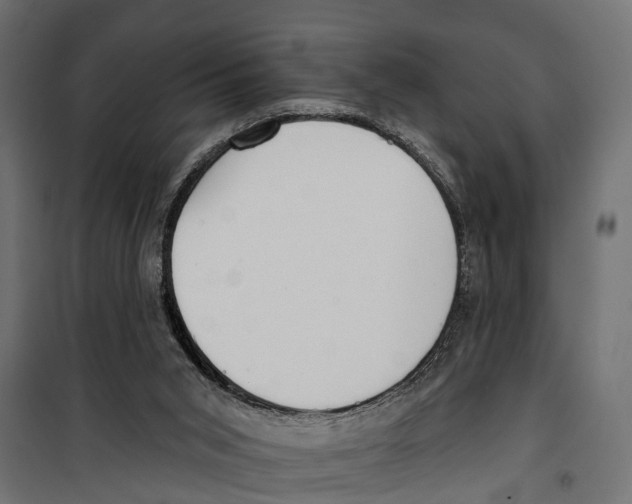 X0000099970015200806201412