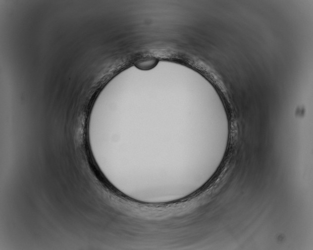 X0000099970018200806201412