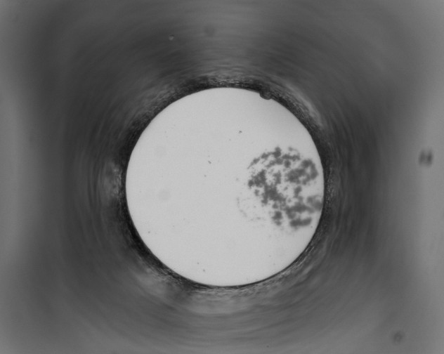 X0000099970025200806201412