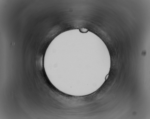 X0000099970028200806201412