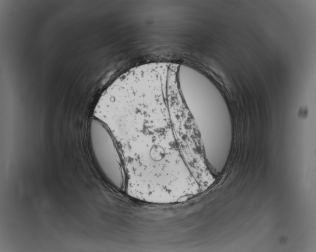 X0000099970029200806201412