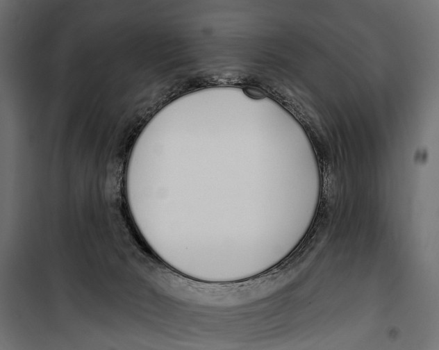 X0000099970030200806201412